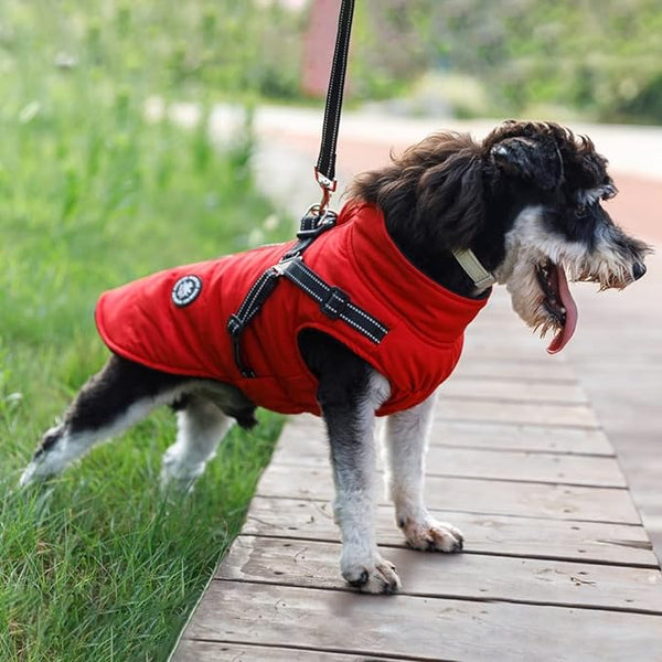 Waterproof Coat With In-built Harness