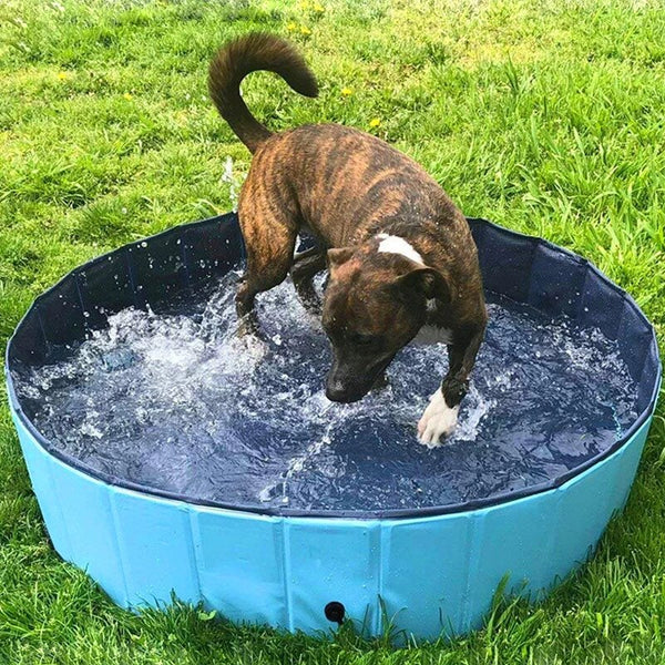 Portable Splash Pool