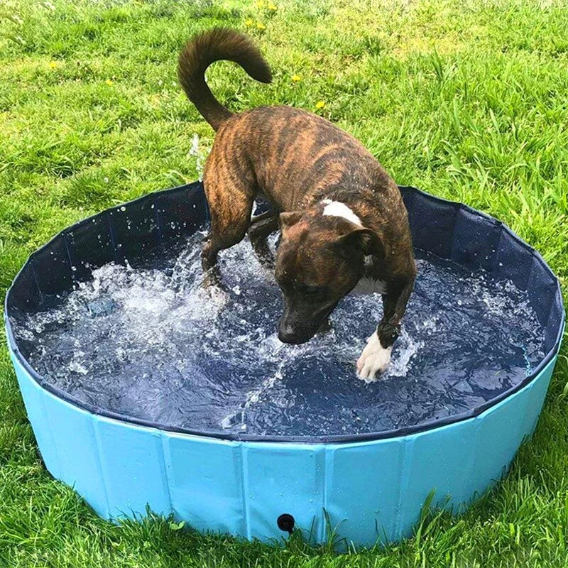 Portable Splash Pool