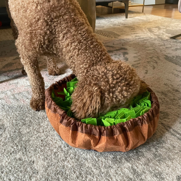 Snuffle Bowl