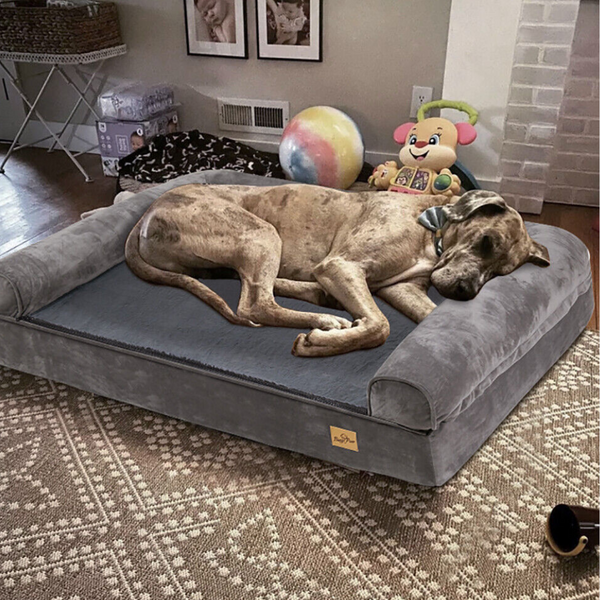 Orthopaedic Dog Bed