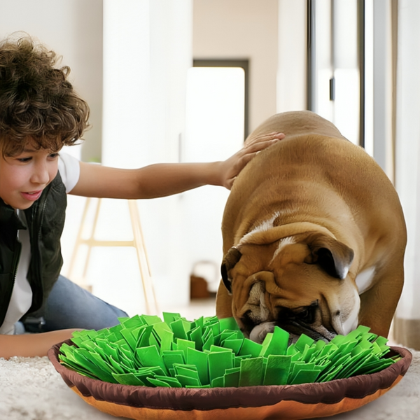 Snuffle Bowl