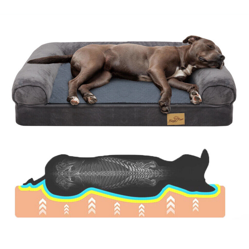 Orthopaedic Dog Bed